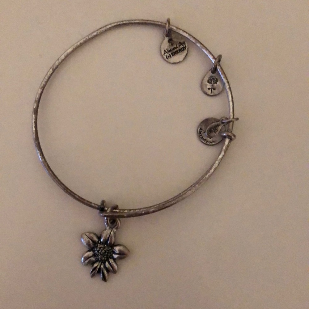 Alex and Ani bracelet